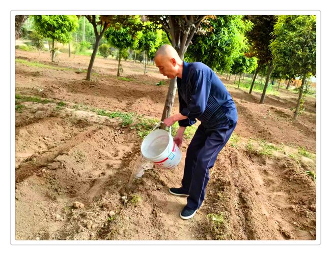 在院人员在院内菜园参加种植浇水劳动